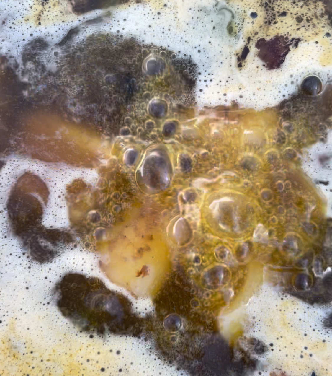 Burbujas de caldo para arroz negro de tinta.