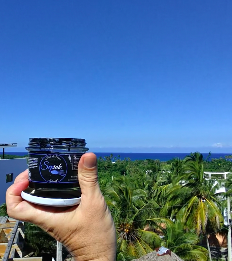 Mano sujetando bote de tinta de sepia con el mar caribe de fondo